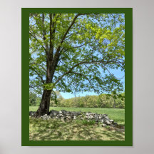 Belo Impressão de Primavera