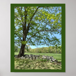 Belo Impressão de Primavera