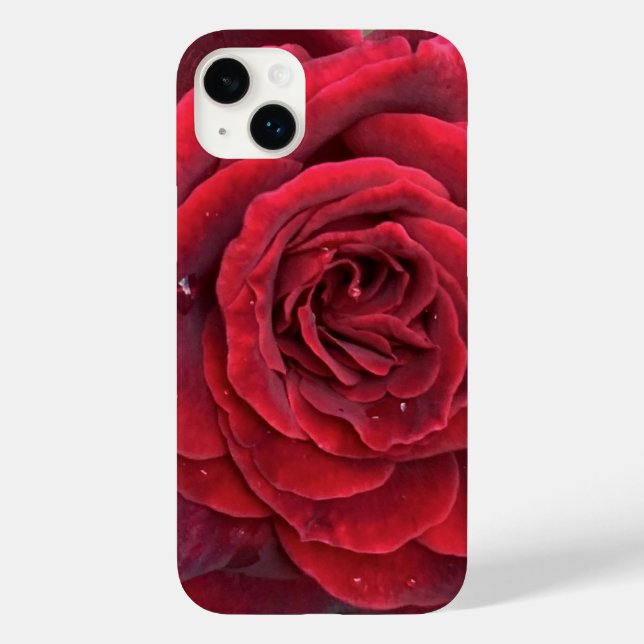 Belo iphone de rosa vermelha 14+ mal lá (Verso)