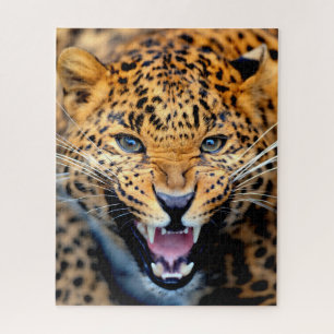 Belo Leopard Fechado, Quebra-cabeça de Jigsaw