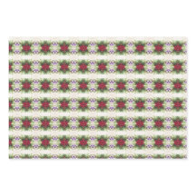 Belo Natal da Poinsettia