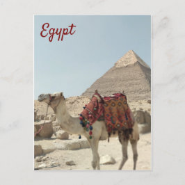 Belo oriental, Pirâmides Camel Egito cartão postal