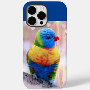 Belo papagaio multicolor