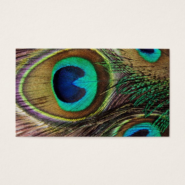 Belo Penas de Peacock (Frente)