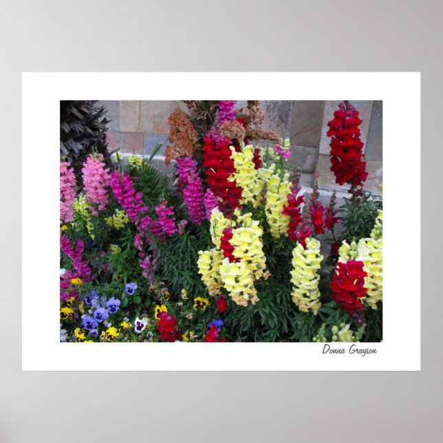 Belo Poster de jardim (Frente)