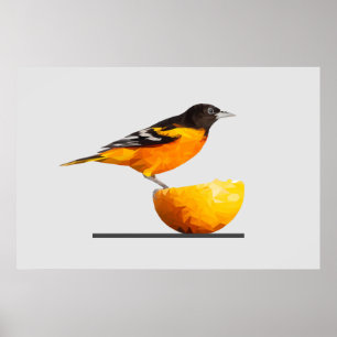 Belo Poster de Oriole Bird Minimalista