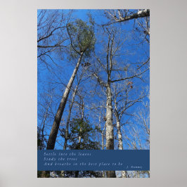 Belo Poster de outono