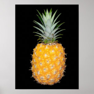 Belo Poster de PINEAPPLE sobre fundo preto
