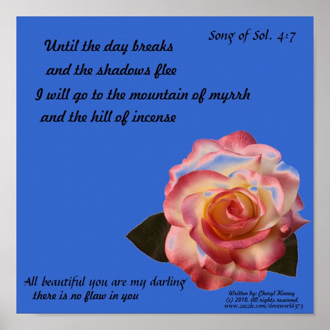 Belo Poster de Rosa (Frente)