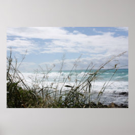 Belo Poster do Oceano Havaiano