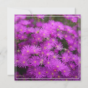 Belo Putple Flowers Seu Texto Flat Card