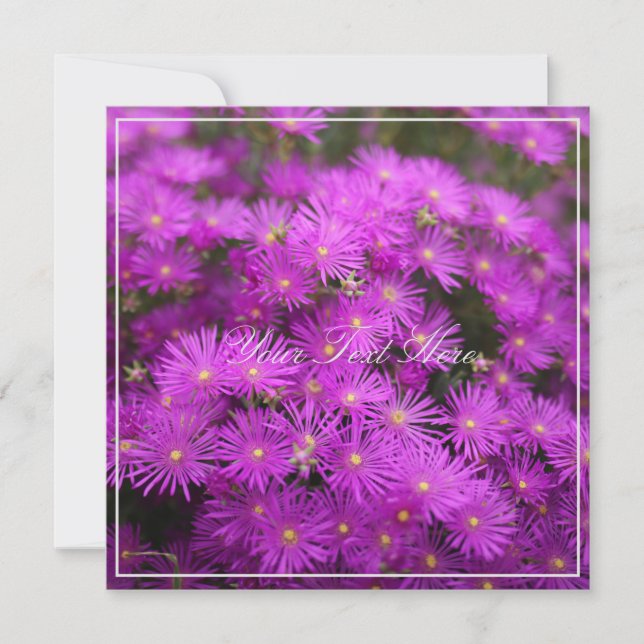 Belo Putple Flowers Seu Texto Flat Card (Frente)