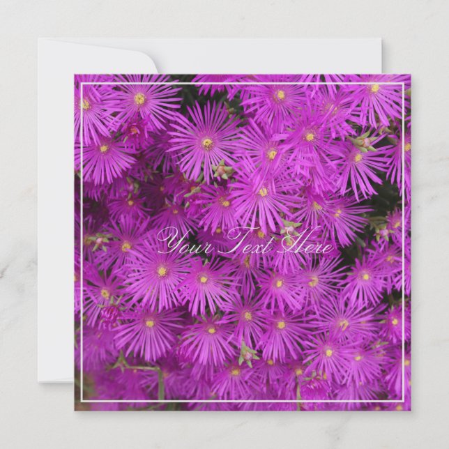 Belo Putple Flowers Seu Texto Flat Card (Frente)