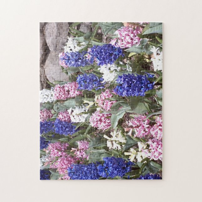 Belo Quebra-Cabeça de Jacintos da Primavera (Vertical)