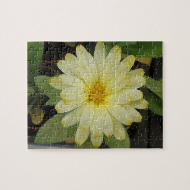 Belo Quebra-cabeça Marigold (Horizontal)