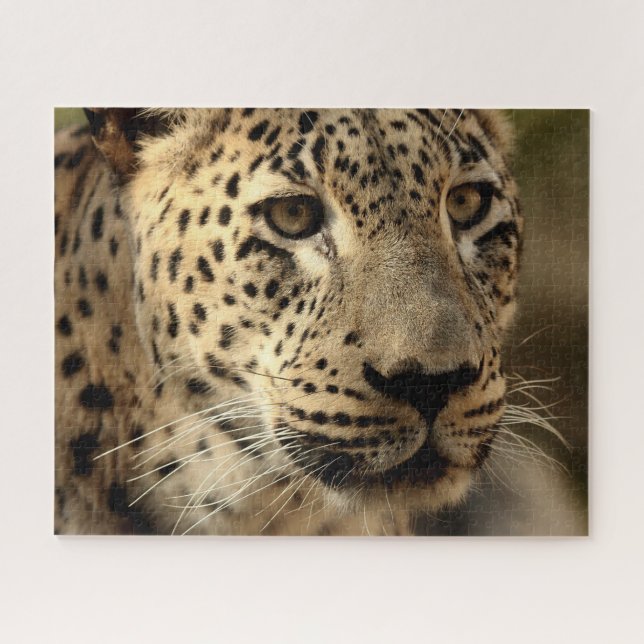 Belo Retrato Leopardo, Quebra-cabeça de serra (Horizontal)