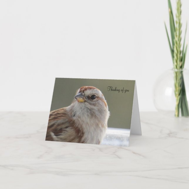 Belo Sparrow - Cartão de Saudação de Vazio (Frente)