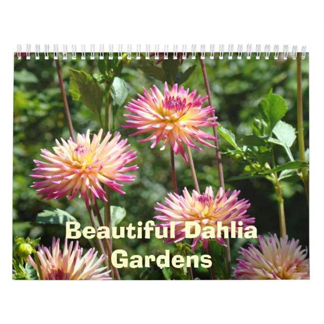 Belos Calendários Dahlia Jardins Fotos Florais (Capa)