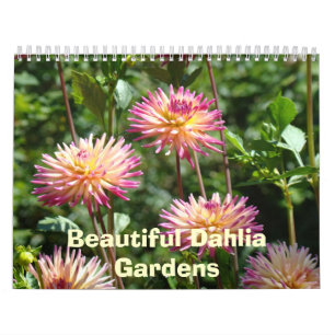 Belos Calendários de Jardins de Dahlia Fotos Flora