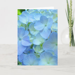 Belos Cartões de natal de Flores de Hydrangea Azul
