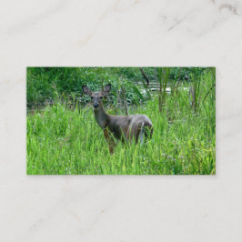 Belos Cartões de visitas