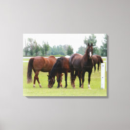 Belos Cavalos/Fecho de Canvas