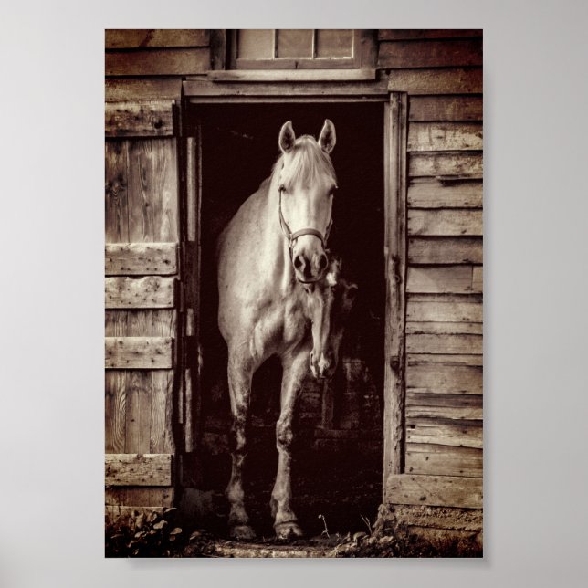 Belos Cavalos - Poster do Marrom Russo (Frente)