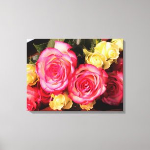 Belos Rosas de Canvas