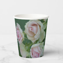 Belos rosas de jardim de rosas claro