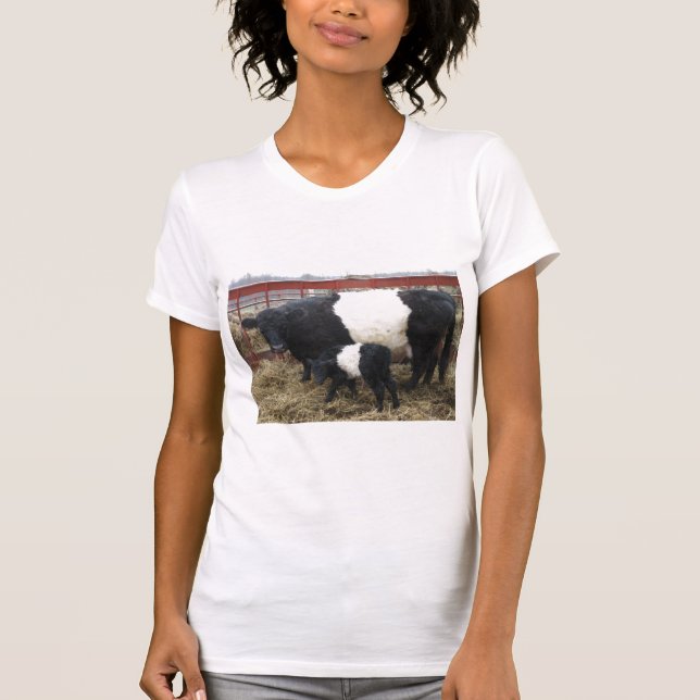 Beltie Cow e Calf T-Shirt (Frente)
