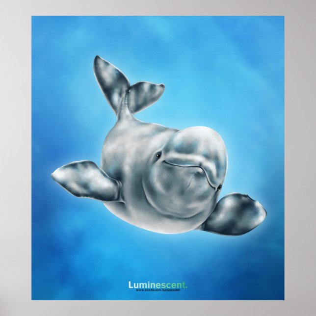 Beluga - Poster (Frente)