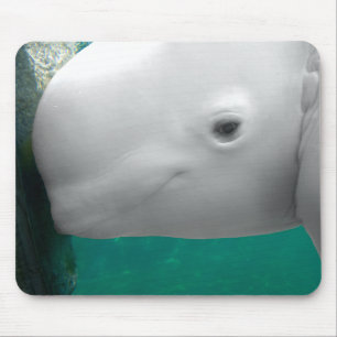 Beluga que olha Mousepad