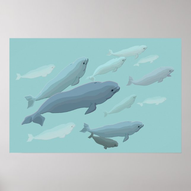 Beluga Whale Art Impressão Marinelife Whale Poster (Frente)