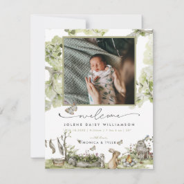 Bem-vindo ao Mundo | Nascimento da floresta