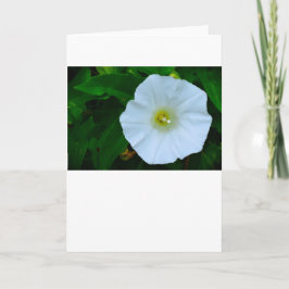 Bênção da Natureza, Cartão