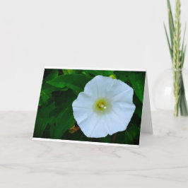 Bênção da Natureza, Cartão