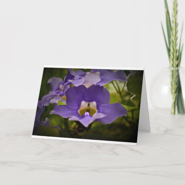 Bênção da Natureza, cartão (Frente)