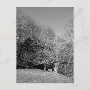 Bench sob cartões postais em árvore