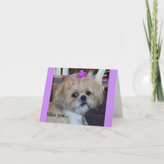 Benevolência & glória diárias dos cartões