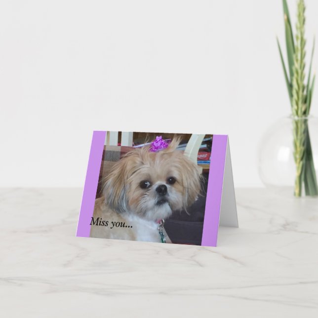 Benevolência & glória diárias dos cartões (Frente)