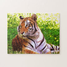 Bengal Tiger na Quebra-cabeça de Grass