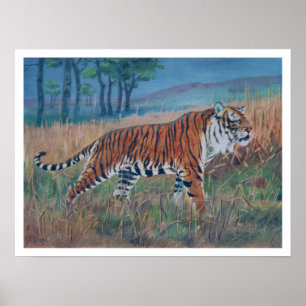 Bengal Tiger Poster