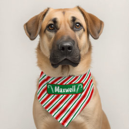 Bengala de Natal Listrada Personalizada