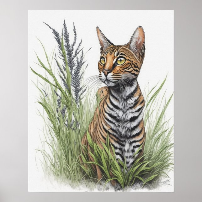 Bengala Pet Cat Poster (Frente)