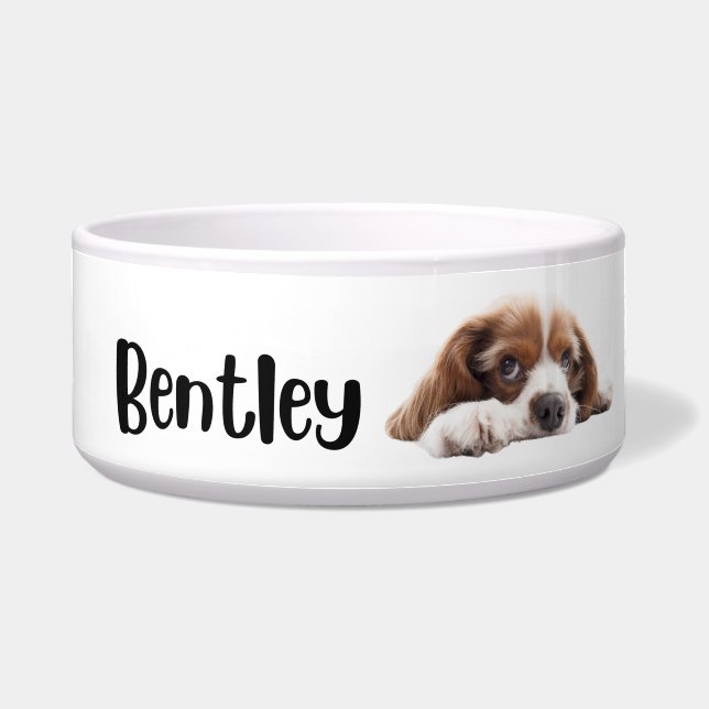 Bentley - cães e gatos - tigela personalizada (Frente)