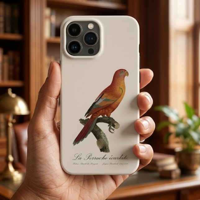 Berlato de Perruche (Red Lory or Eos Bornea, Trichoglossus borneus. iPhone Case)