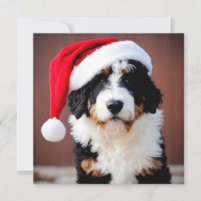 Bernedoodle Christmas (Frente)