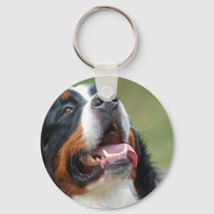 Berner Sennenhund Dog Chaveiro