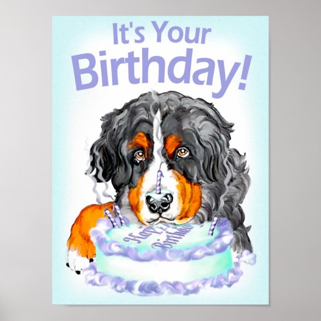 Bernese Mountain Dog Poster (Frente)
