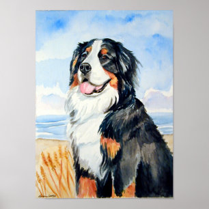 Bernese Mountain Dog Poster Impressão